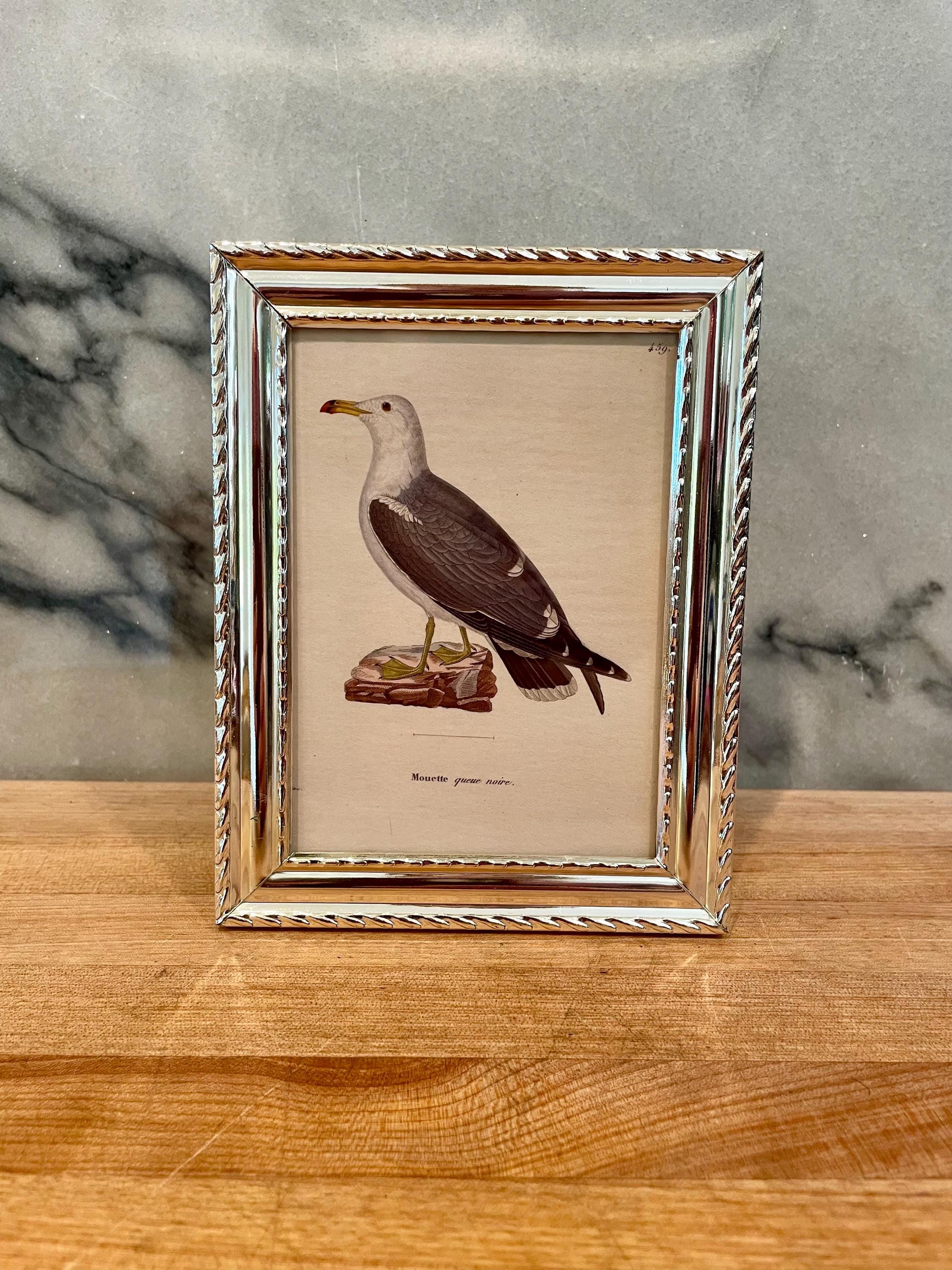 SEAGULL 多面フォトフレーム Seagull Picture Frames - Etsy