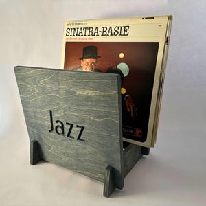 Customizable Vinyl Record Storage Display