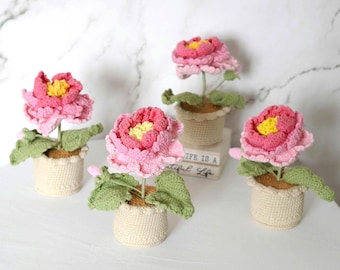 Crochet flower in Pot: Crochet Rose, Handmade Knitted Cotton Bouquet