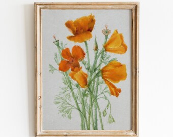 Tableau fleur de pavot de style vintage | Affiche élégante de coquelicots dorés de Californie en téléchargement numérique | Décoration murale botanique imprimable