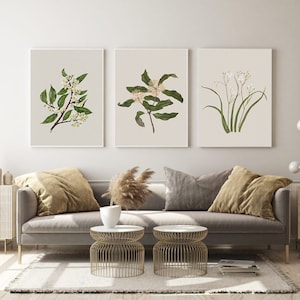 Vintage Botanical 3PC Wall Art Bundle | Printable Digital Wall Art Set | Minimalist Botanical Antique Collection | Elegant Wall Art 3PC Set.