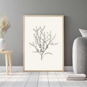 Vintage Neutral Botanical Wall Art | Printable Digital Wall Art | Soft Palette Antique Botanical Sketch | GG-33