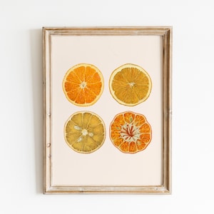 Vintage Orange Zitrus Poster | Küche Wand Antike druckbare Kunst | Antike Orange, Zitrone, Mandarine Malerei | Vintage Poster zum Herunterladen