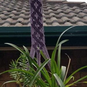 May include: A purple macrame plant hanger with a black pot and green plants hanging from a roof.