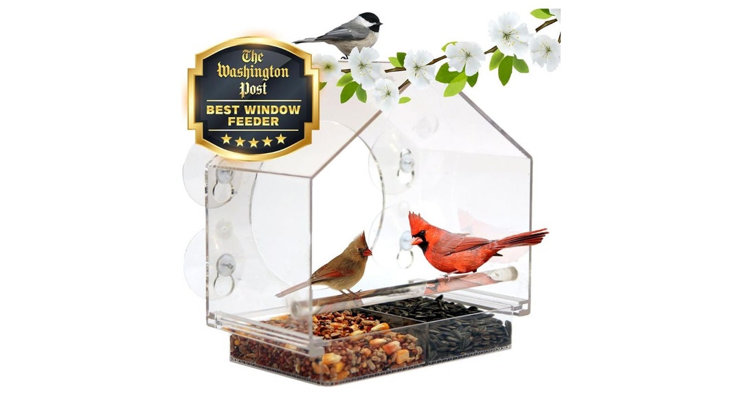 Window Bird Feeder, Valentine's Day Gift for Lovers, Enhanced Suction