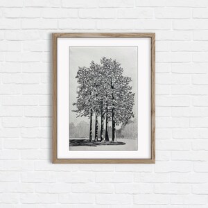 Cluster - Graphite drawing on paper. 7.5x9.5 inches. Original, Handmade Artwork.