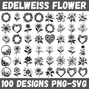 May include: 100 black and white vector illustrations of edelweiss flowers in various arrangements, including wreaths, hearts, and single flowers. The text "100 DESIGNS PNG-SVG" is at the bottom of the image.
