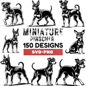 May include: A set of 150 black and white vector illustrations of Miniature Pinschers in various poses. The text "MINIATURE PINSCHER 150 DESIGNS SVG-PNG" is displayed in a red banner.