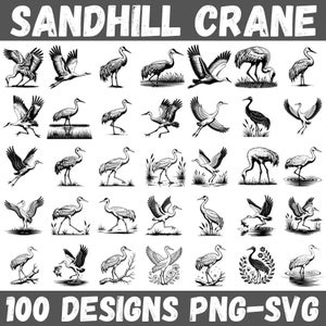 May include: Black and white illustration featuring multiple Sandhill Crane designs. The image includes various poses of the birds, including flying, standing, and foraging. Text at the top reads "SANDHILL CRANE" and at the bottom "100 DESIGNS PNG-SVG".