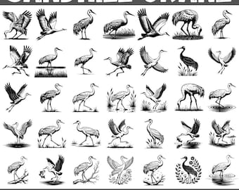 Sandhill Crane SVG Bundle: 100 Bird Silhouette Clipart Designs (Digital Download