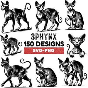Puede incluir: Una colección de 150 ilustraciones vectoriales en blanco y negro de gatos Sphynx en varias poses. El texto "SPHYNX 150 DESIGNS SVG-PNG" se muestra en una pancarta roja.