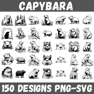 Capybara SVG PNG Bundle: 150 Rodent Clipart Designs (Digital Download)