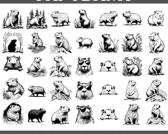 Kapybara SVG PNG-paket: 150 gnagare clipart-designer (digital nedladdning)