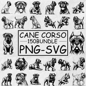 May include: A collection of Cane Corso dog illustrations in various poses and styles. The images are in black and white, with some dogs wearing sunglasses. Text on the image reads "Cane Corso 150 Bundle PNG-SVG".