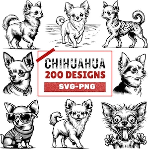 200 Chihuahua Designs bündeln | Süße Chihuahua Clipart Sammlung | PNG SVG-Dateien für digitale Kunst, Chihuahua svg, Aufkleber, Hundeliebhaber Geschenke