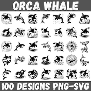 Peut inclure: Illustrations en noir et blanc d'orques dans diverses poses. Le texte "ORCA WHALE" est en haut et "100 DESIGNS PNG-SVG" en bas. Les dessins présentent des orques avec des éléments floraux, dans l'eau et dans des motifs stylisés.