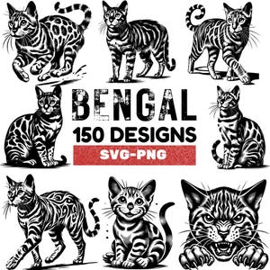 Bengal Cat SVG Bundle: 150 Unique Designs (PNG, SVG)