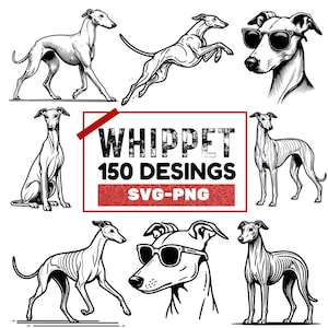 Whippet Designs bündeln | Elegante Whippet Clipart Sammlung | PNG SVG-Dateien für digitale Kunst, Whippet SVG, Aufkleber, Hunde Liebhaber Geschenke