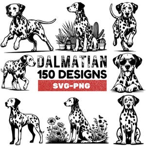 May include: A set of 10 black and white Dalmatian dog illustrations. The dogs are in various poses, including sitting, standing, and running. The text "Dalmatian 150 Designs SVG-PNG" is at the top of the image.
