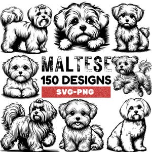 Maltese Dog SVG Bundle | 150 Cute Maltese Puppy Designs | Pet Clipart for Cricut, Sublimation & Laser Cutting