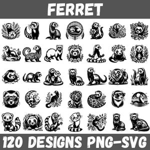 Puede incluir: Una colección de 30 diseños de hurones en blanco y negro en varias poses y estilos. La palabra "FERRET" está en la parte superior y "120 DESIGNS PNG-SVG" en la parte inferior. Los diseños incluyen hurones con gafas de sol, en atrapasueños y con detalles florales.