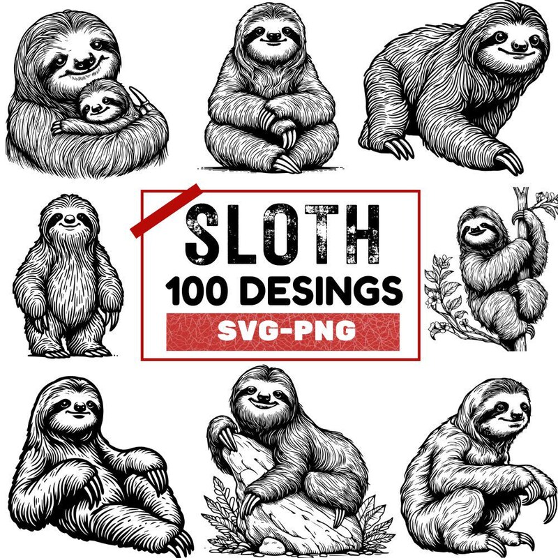 Sloth Svg - Etsy