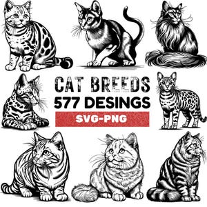 Cat Breed SVG PNG Design Bundle: 577 Cat Graphics
