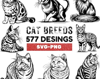 Cat Breed SVG PNG Design Bundle: 577 Cat Graphics