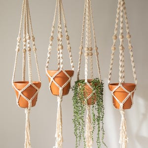 Macrame Plant Hanger
