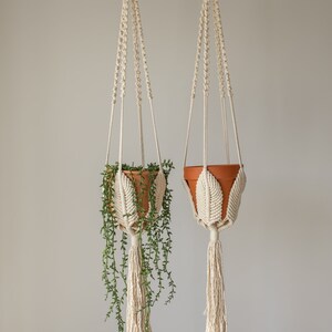 May include: Two macrame plant hangers with white cords and tassels, each holding a terracotta pot with a green plant. The hangers are suspended from the ceiling.