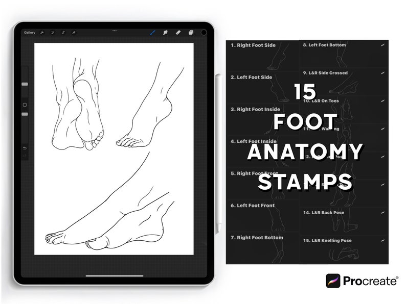 Procreate- Foot Anatomy Stamps - Etsy