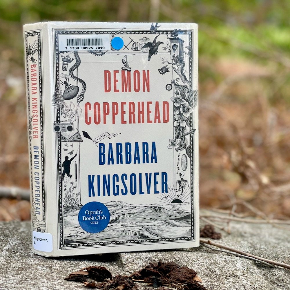 Demon Copperhead A Pulitzer Prize Winner by Barbara Etsy
