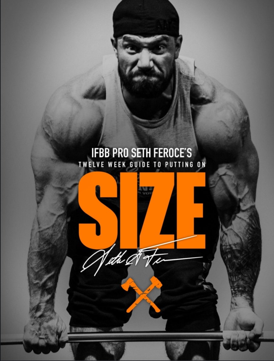 Seth Feroce 12week Size Guide Ireland