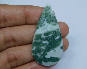 Attractive Tree agate Gemstone Tree agate Cabochons Tree agate Loose semi precious Jewelry making gemstone 53 cts.