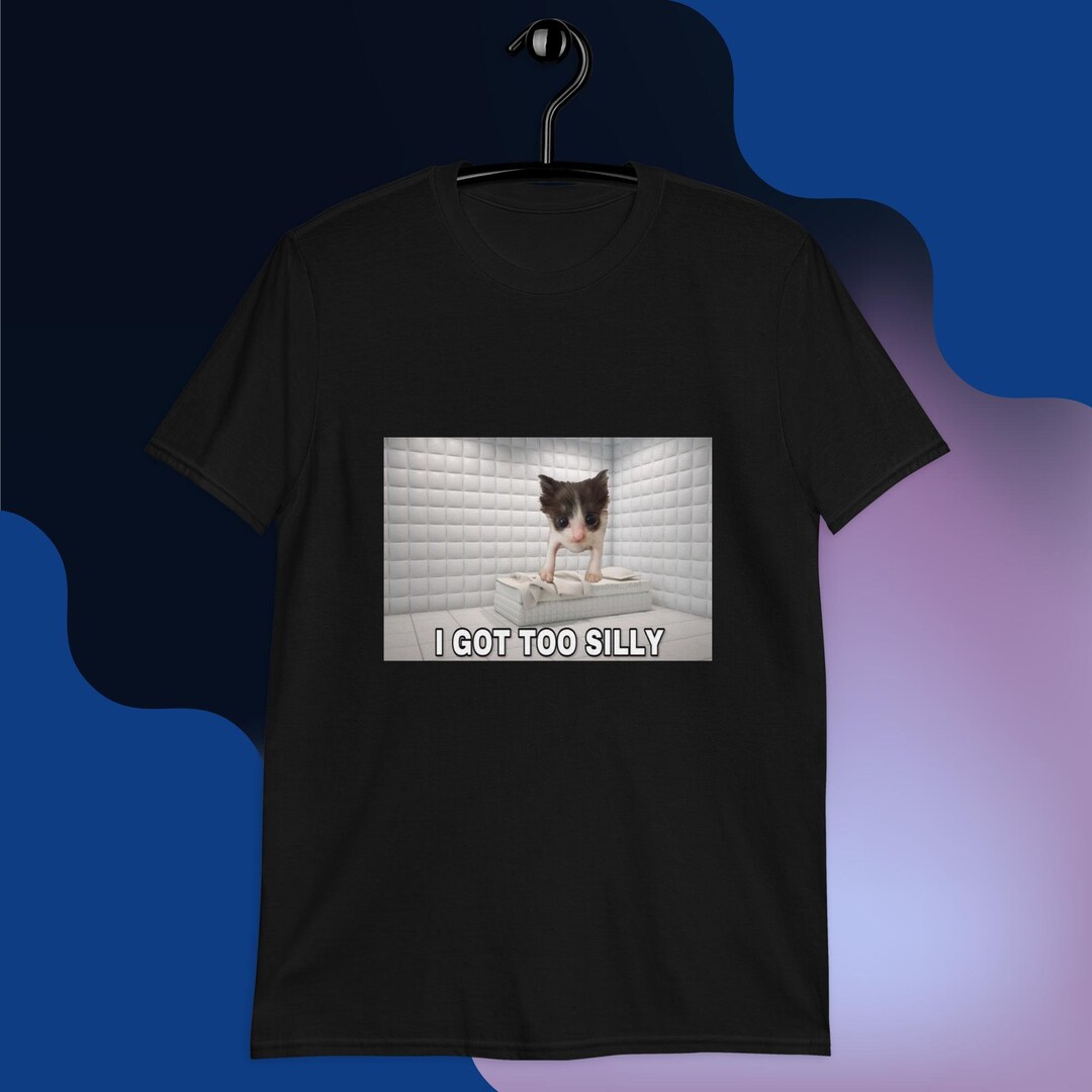 I Got Too Silly T-shirt, Meme Cat Owner Tee - Etsy