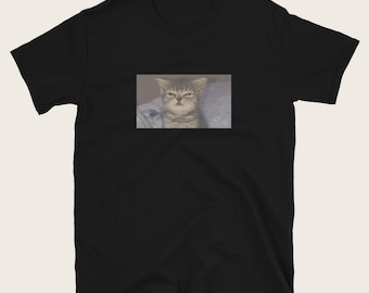 Camiseta de gato dormilón, camiseta con meme de gato dormilón, camiseta gráfica de gato cansado, camiseta divertida con meme de gato, regalo para amantes de los gatos, camiseta unisex con meme.