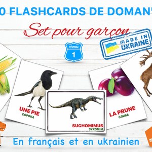Set pour garçons #1 | Набір для хлопчиків #1 | 80 cartes en 5 thèmes | 80 розвиваючих карток у 5 темах | FRA-УКР | PDF