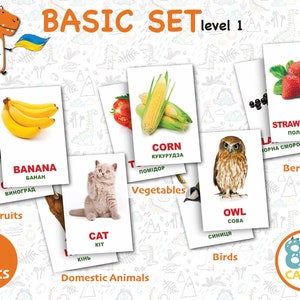 Basisset #1 | 80 tweetalige kinderflitskaarten in 5 onderwerpen | 80 stuks per 5 stuks | Engels - Oekraïens | Pdf