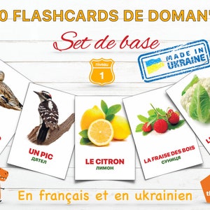 Set de base #1 | Стартовий набір #1 | 80 cartes en 5 thèmes | 80 розвиваючих карток у 5 темах | FRA-УКР | PDF