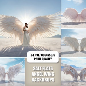 94 Digital Backdrops, Salt Flats Angel Wing Digital Backgrounds, Maternity Backdrop Overlays, Studio Backdrops, Photoshop Fine Art Textures
