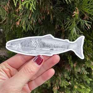 Sockeye Salmon Magnet – Hand-Drawn Fishing Art, Wildlife Illustration, River & Fish Decor, 5" Magnet, Alaska Kenai River, Gift for Fisherman
