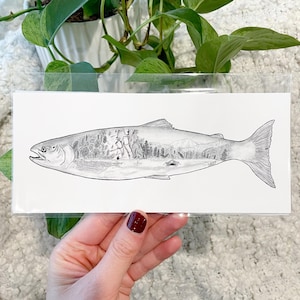 Sockeye Salmon Print – Hand-Drawn Fishing Art, Wildlife Illustration, River & Fish Decor, 8"x3.5" Print, Nature Wall Art, Alaska Kenai