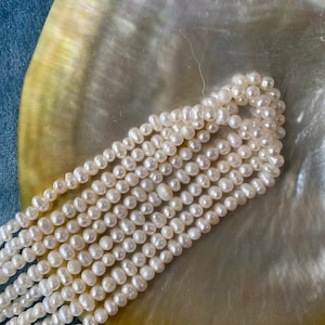 Może przedstawiać: Kolekcja delikatnych, kremowobiałych naszyjników z pereł ułożonych na dużej, opalizującej muszli. Perły są małe i okrągłe, o subtelnym połysku. Muszla ma perłowy połysk z nutami żółci i zieleni.