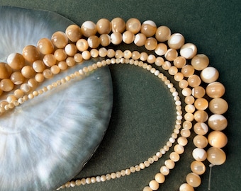 Brown Mother of Pearl Smooth Round Shell Beads,  2mm 4mm 6mm 8mm Strand, E735