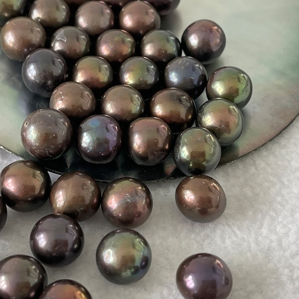 8-13mm Chocolate Round  Pearl, Colored Edison Pearls, Chocolate Loose Pearls, Genuine Edison Pearls, Big Pearl, Large Pear E029