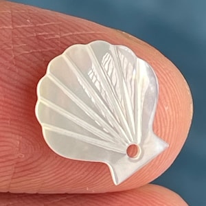 May include: A white seashell with a hole drilled in the bottom. The shell has a fan-like pattern and a smooth, iridescent finish.