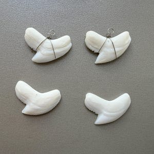 May include: Four white shark teeth arranged in a grid. Two of the teeth are wrapped in thin silver-colored wire with a small loop at the top for hanging, while the other two teeth are plain and unwrapped, showing their natural serrated edges.