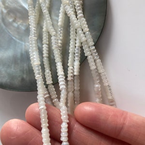 Peut inclure: Un brin de perles de coquillage blanc irisé. Les perles sont petites et rondes, avec une surface légèrement texturée. Les perles sont enfilées sur un fil transparent.