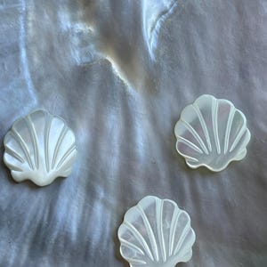 May include: Three white seashell-shaped decorative objects on a pearlescent background.