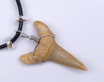 Genuine Otodus obliquus & Snaggletooth Fossil Shark Tooth Pendant, E744